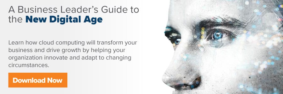 Business Leaders Guide to the New Digital Age